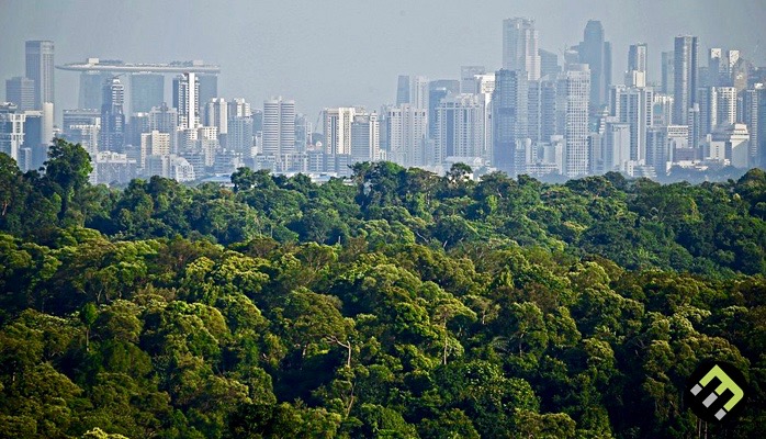 High dense cities with no sprawl surrounded by forest? : r/urbanplanning