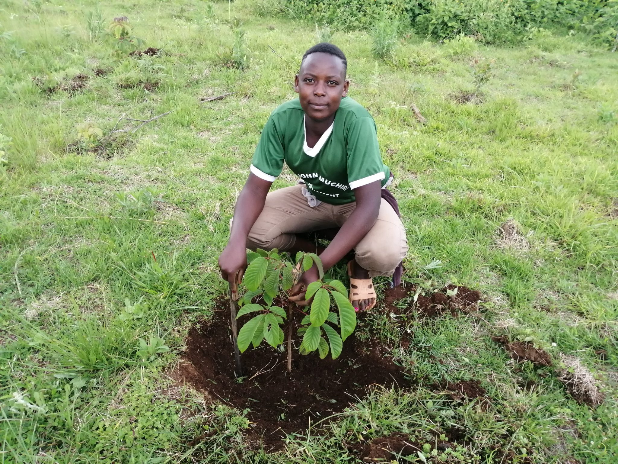 Trees for Kenya - EcoMatcher