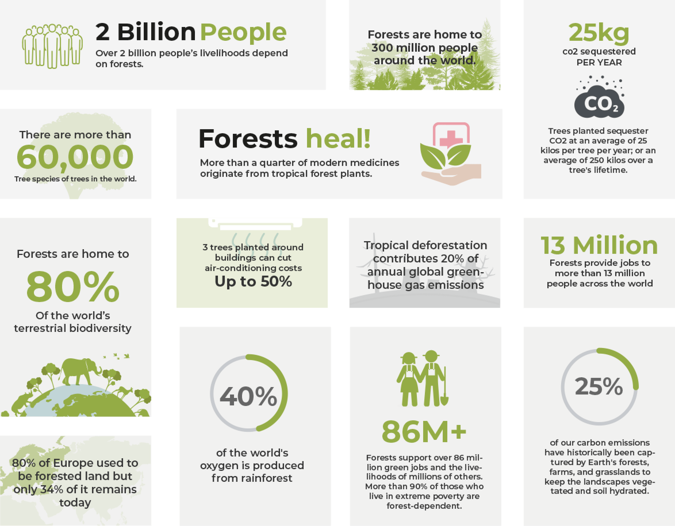 fire-and-carbon-dioxide-grass-vs-trees-go-natural-education