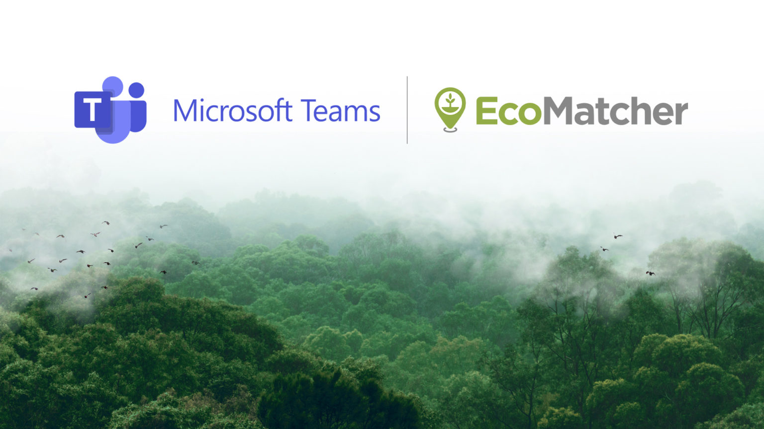 EcoMatcher Brings Tree Planting To Microsoft Teams - EcoMatcher