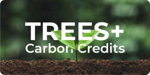 TREES+ - EcoMatcher