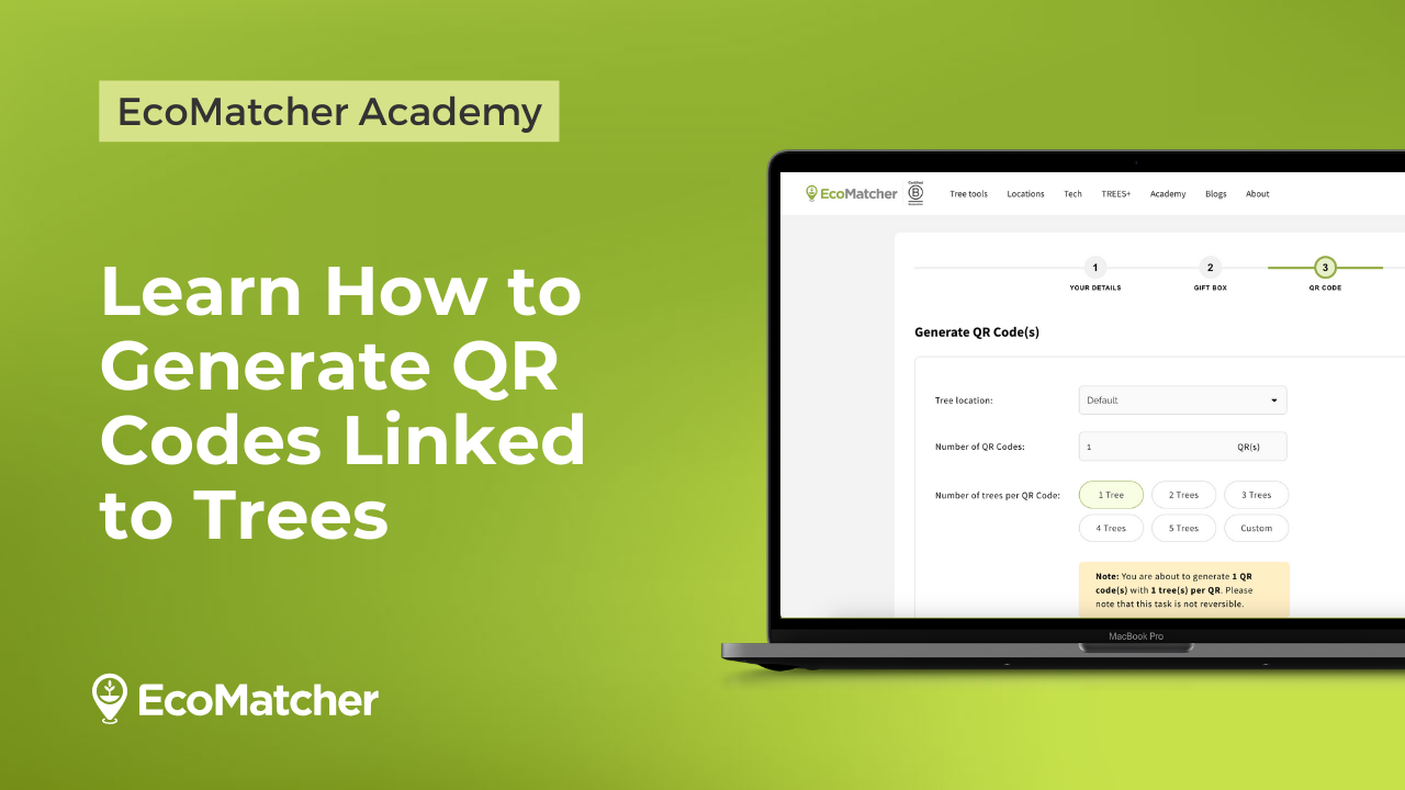 Vid-13-How-to-Send-Tress-by-Generate-QR