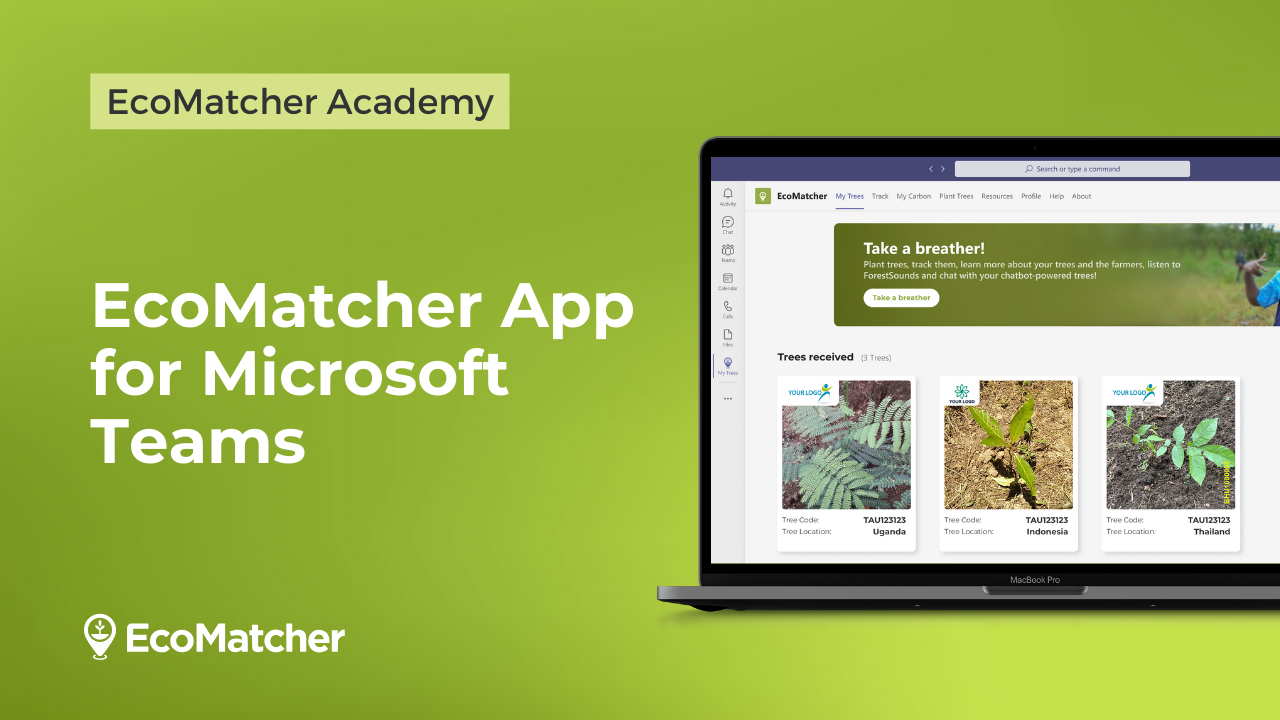 Vid-17-EcoMatcherTeamsApp