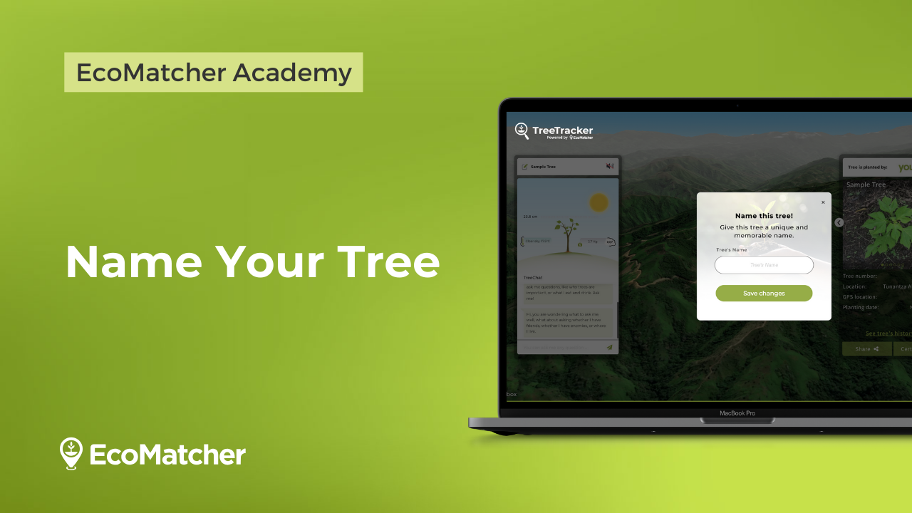 Vid-8-name-your-tree