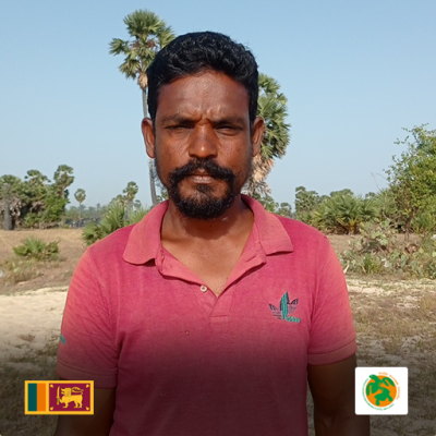 Trees in Sri Lanka - EcoMatcher