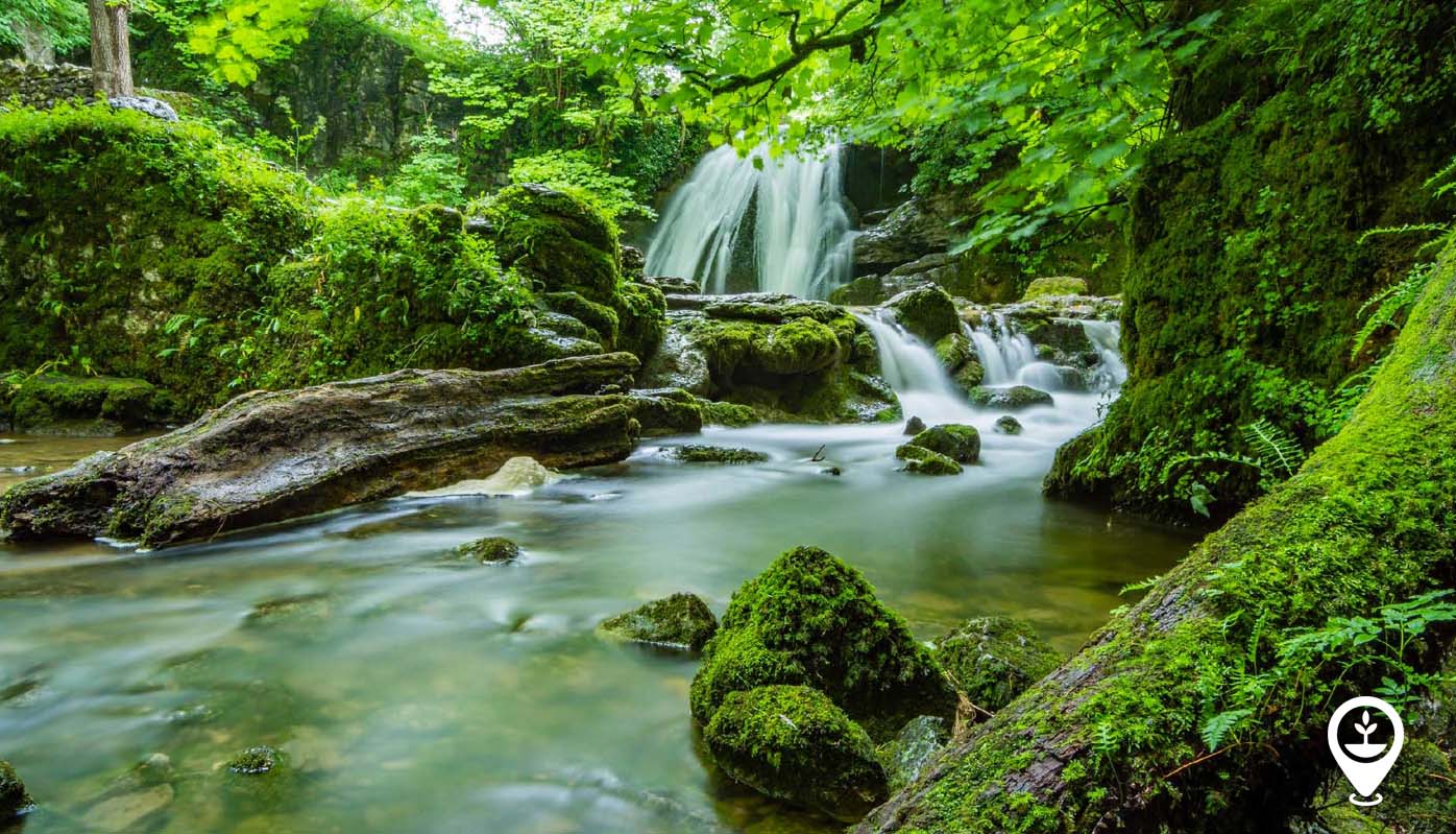 Rise of Nature Rights